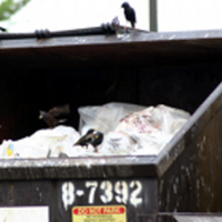 The Politics of Solid Waste Management 